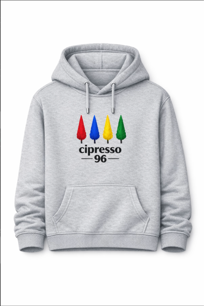 four-ever since hoodie / grey